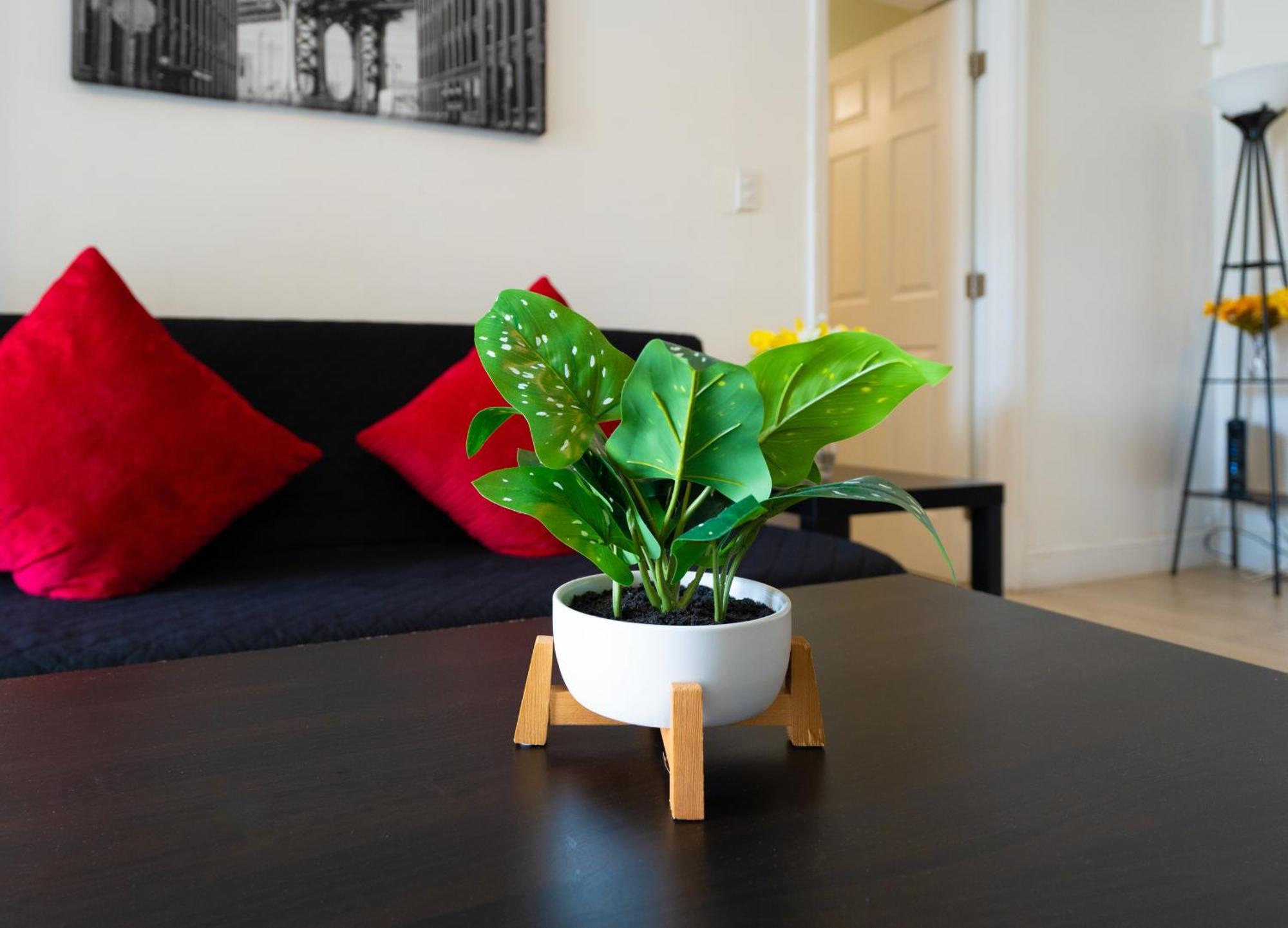 Cozy Private Apts In By Hard Rock Casino!