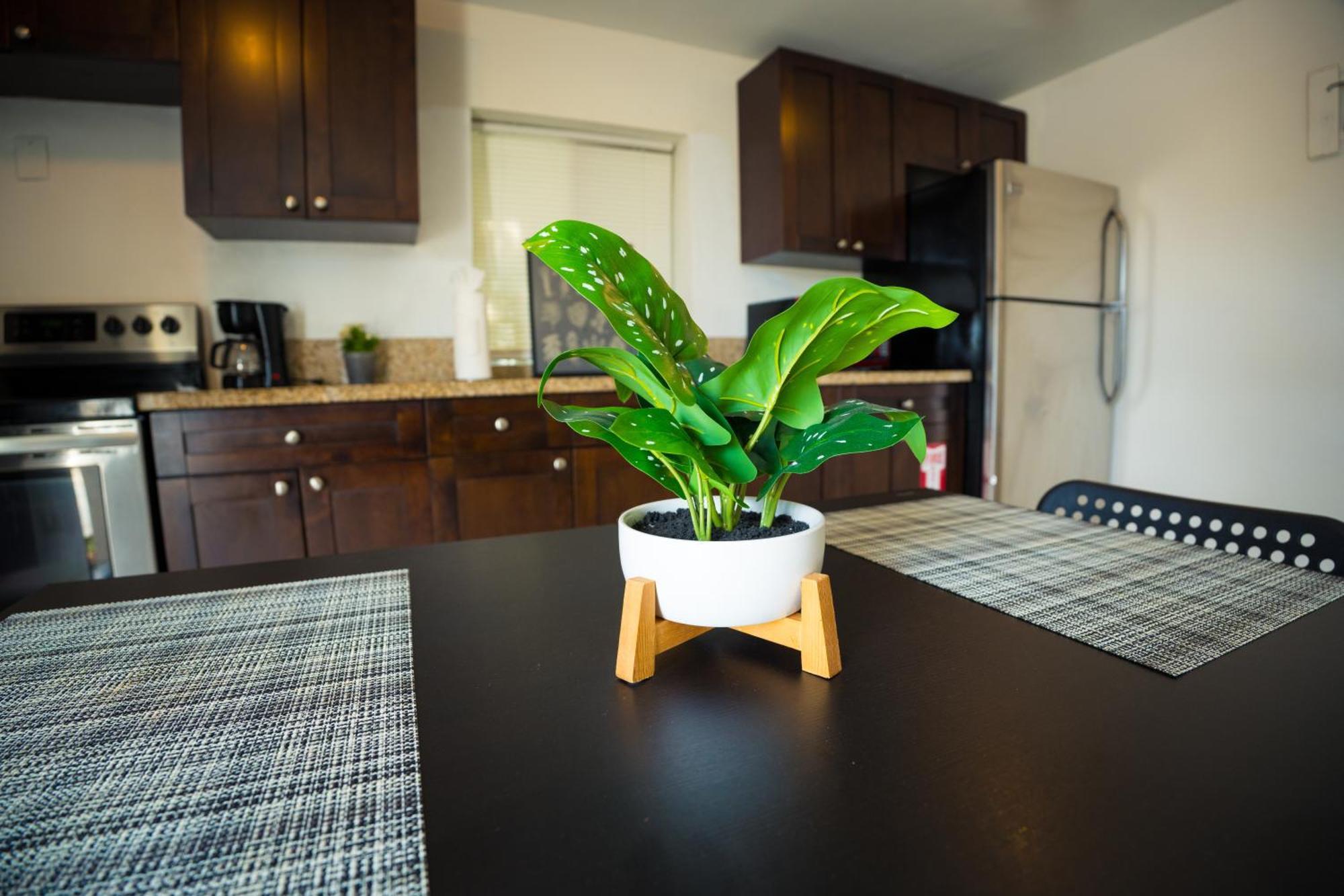 Cozy Private Apts In By Hard Rock Casino! Appartement *